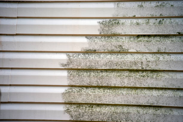 Best Composite Siding  in Gladwin, MI
