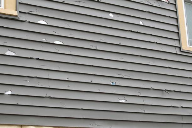 Best Custom Siding Design  in Gladwin, MI