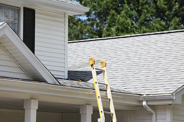 Best Fiber Cement Siding Installation  in Gladwin, MI